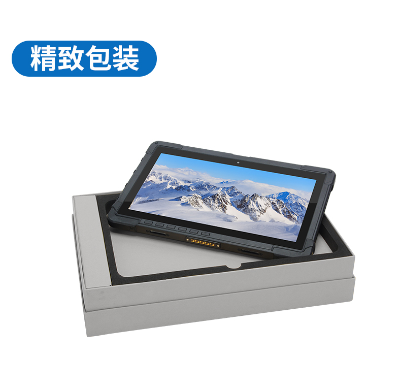 10英寸工業(yè)平板電腦,IP65防護三防加固平板,DTZ-I1108E.jpg 10英寸工業(yè)平板電腦,IP65防護三防加固平板,DTZ-I1108E.jpg